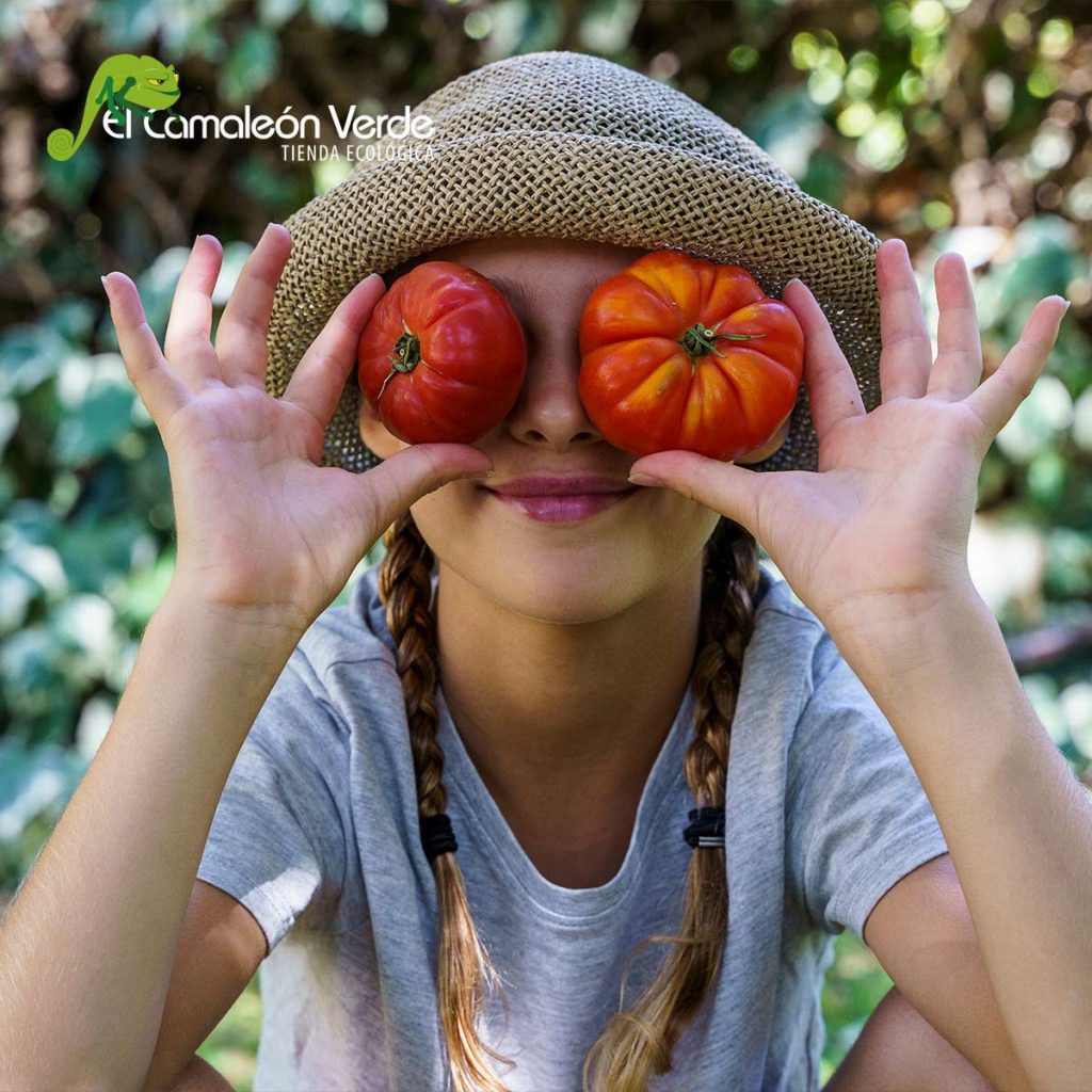 elcamaleonverde.com elcamaleonverde.com