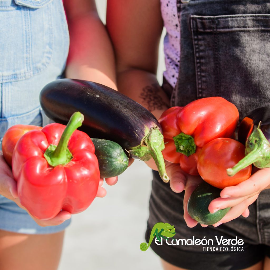 comida ecológica comida ecológica