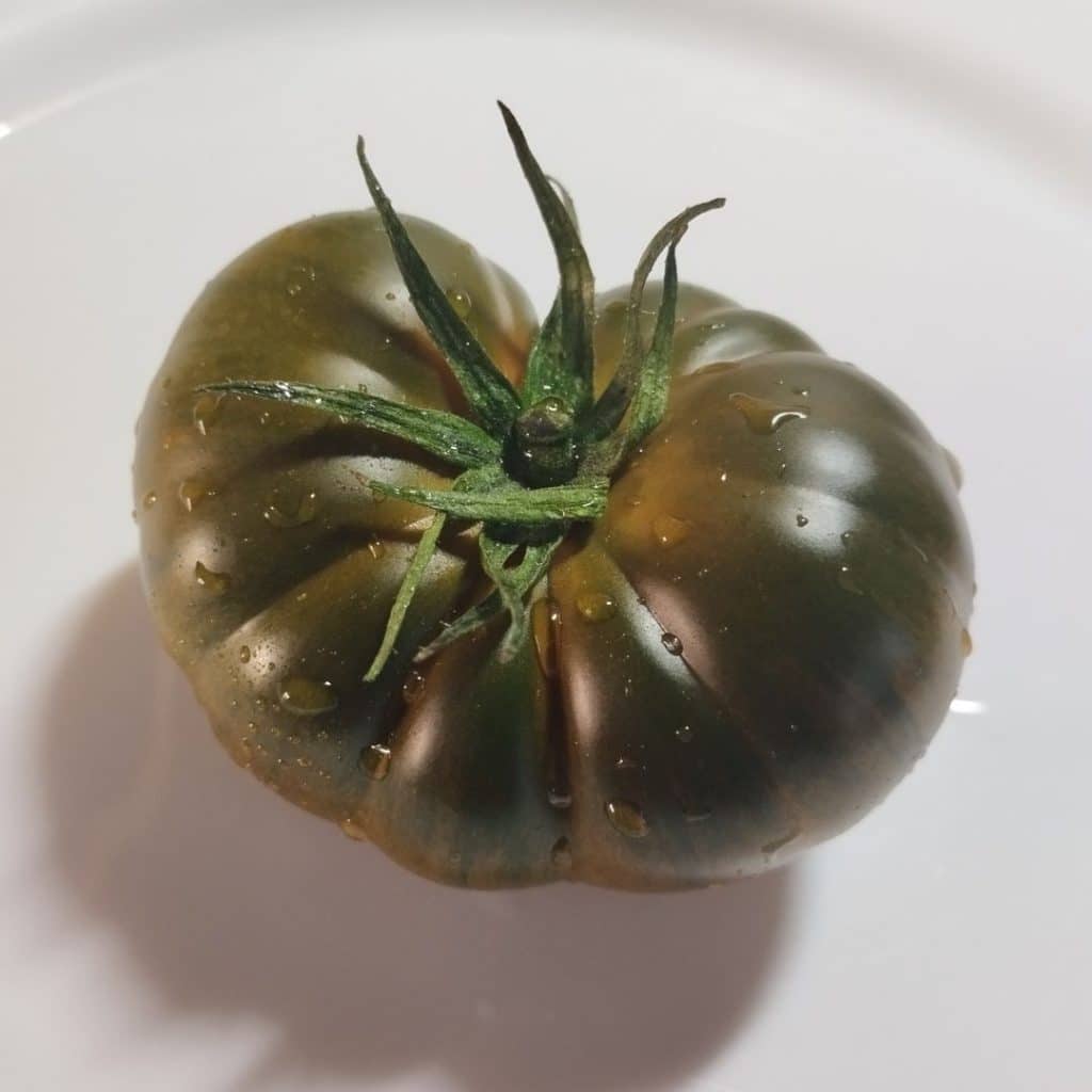 elcamaleonverde.com