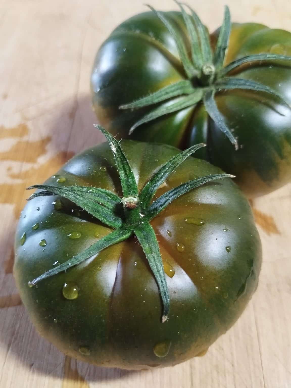 elcamaleonverde.com