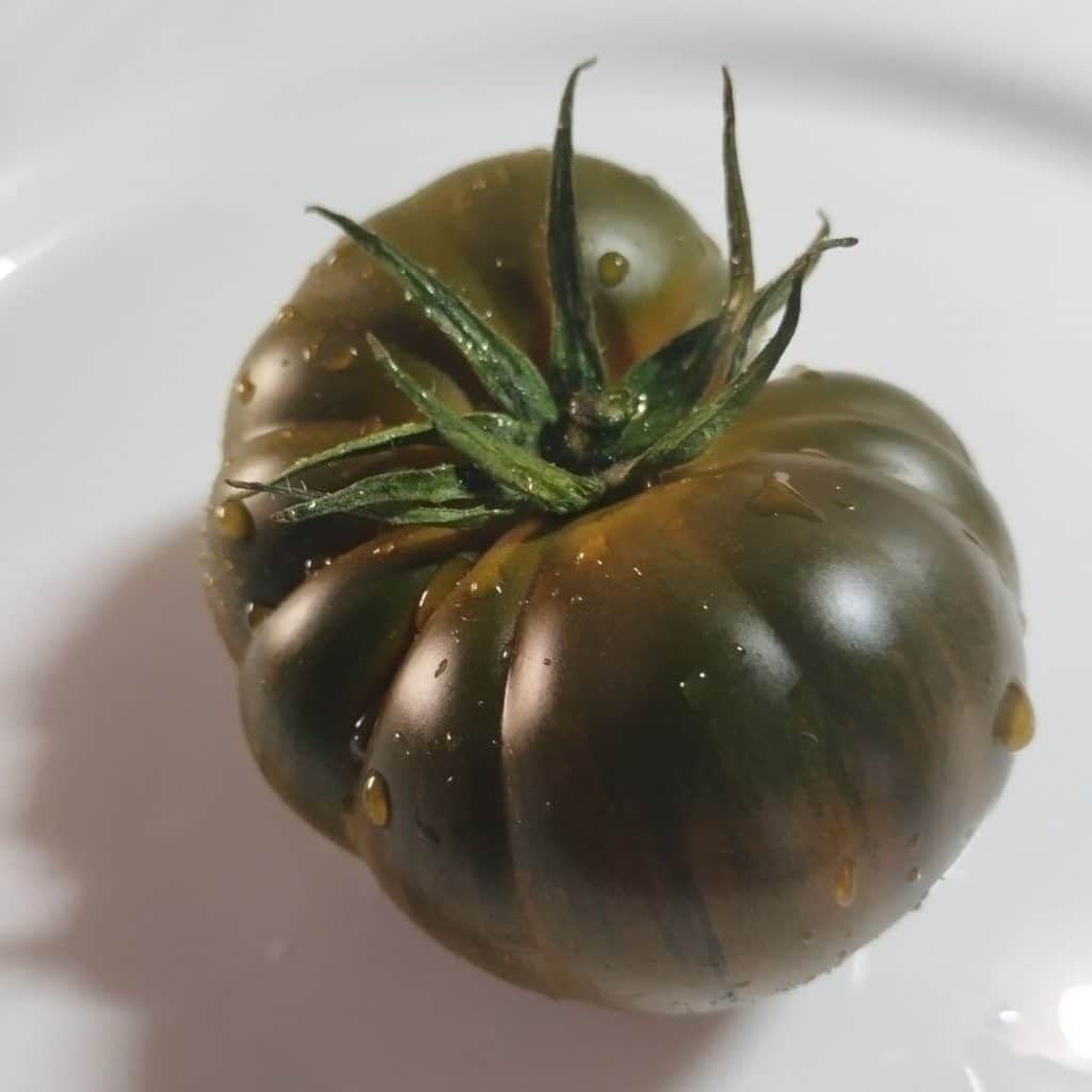 elcamaleonverde.com