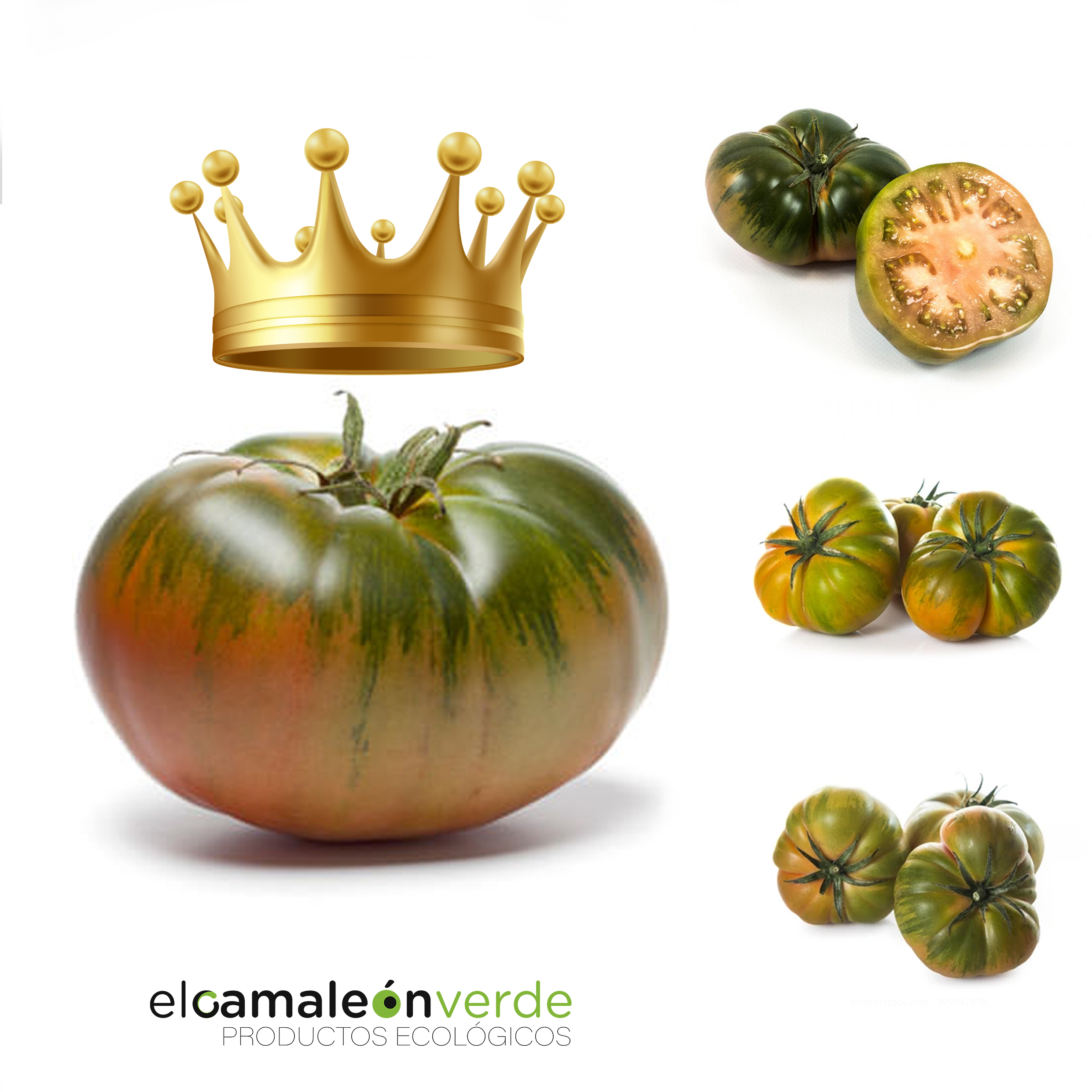Tomate Raf Eco