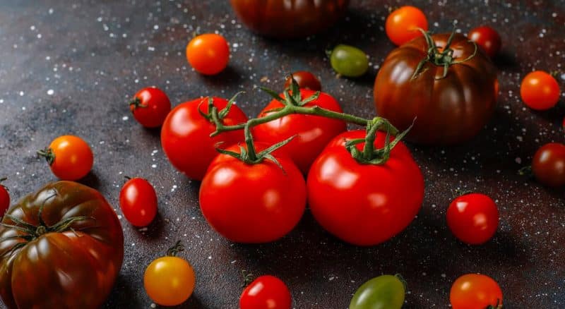 elcamaleonverde.com Tomates Ecológicos